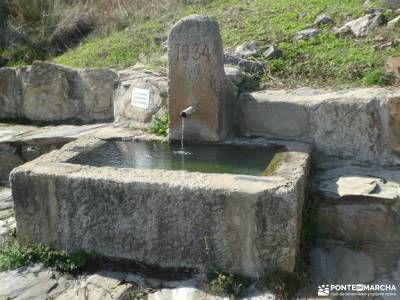 Agua, Vino y .... Vida - Tierra de Pinares; viajes a la palma tienda montaña madrid robledondo basto